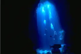 深海最深处，最后惊呆了