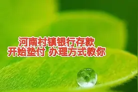 河南村镇银行存款开始垫付，办理操作教给你，拿到钱你会怎么打理视频封面