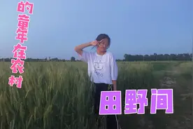 甘肃农村女孩田野生活 还有好风景 这样的童年城里孩子羡慕吗？视频封面