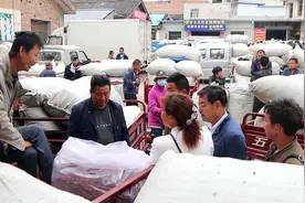 中国花椒之乡，甘谷花椒批发交易市场，甘谷花椒顶呱呱视频封面