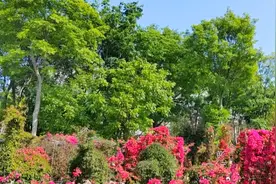 成都成青旅游快速通道打造的好，欣赏着好景来到衔子古镇发现更美视频封面