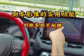 倒车影像的实用功能你都知道吗？利用好车内倒车影像，倒车不剐蹭视频封面