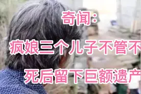 奇闻：疯娘三个儿子不管不顾，只有小闺女肯管，死后留下巨额遗产视频封面