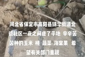 河北省保定市高阳县锦华街道北街社区视频封面