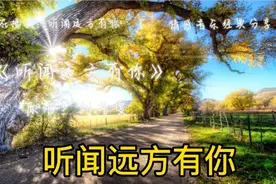 我吹过你吹过的风这算不算相拥，我走过你走过的路，这算不算相逢视频封面