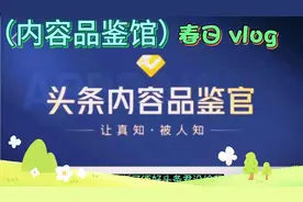如何申请内容品鉴馆，通过成为头条的内容品鉴官对头条的内容评判视频封面