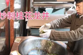 今天炒制桂花龙井，这个真的香视频封面