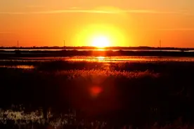 中国.吉林镇赉莫莫格自然保护区视频封面