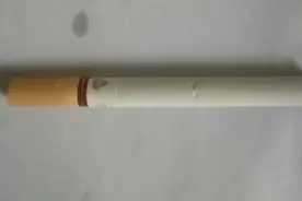 一起看看纸烟里卷的到底是什么？看完了以后您还吸烟吗？全是纸条视频封面