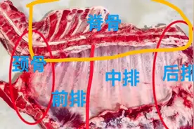 买排骨时，前排，后排，脊骨要分清，口感价格相差大，学会别买错视频封面