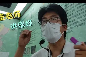 听崔老师讲神奇的蜜蜂世界 同学们兴致勃勃视频封面