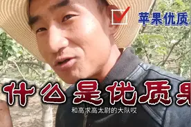 苹果优质果的标准是什么？什么样的苹果才算优质果，什么是标准视频封面