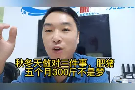秋冬天做对三件事，肥猪五个月300斤不是梦！视频封面