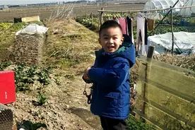 六岁开始玩弹弓，传统弹弓圆皮筋视频封面