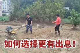 年轻人是在家种地好还是外出打工好？哪个更赚钱，90后小伙很纠结视频封面