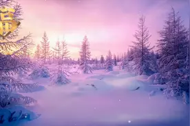 经典散文～莫言：人越清醒，越简单视频封面