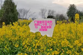 日本失去的二十年视频封面