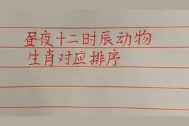 昼夜十二时辰动物生肖对应排序