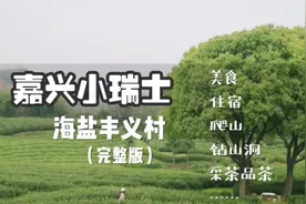 隐藏在嘉兴的这个村子，人少免费，比乌镇还美，国内版小瑞士视频封面