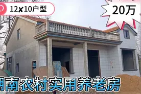 农村实用型的养老房，一层半设计，全部完工20多万，大家觉得如何视频封面