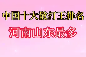 中国散打王排名，河南山东占了大半。视频封面