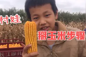 熟能生巧，11岁农村娃分享掰玉米步骤，简单又有道理，妈妈都夸好视频封面