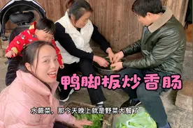 春天是吃野菜的季节，小婷摘了鸭脚板炒香肠吃，变身大厨全家点赞