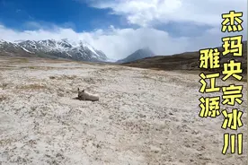 雅鲁藏布江的源头，杰玛央宗冰川，全网少有的路线攻略全记录视频封面