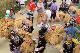 贵州苗族传统习俗送三招，意思宝宝出生三天外婆家人挑来糯米报喜视频封面