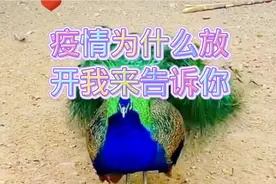 好多人都说疫情这么严重，为什么要放开，原因是因为这个视频封面