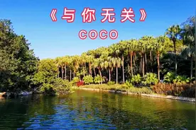 《与你无关》COCO  加长版  走心的 催泪伤感 情歌 深情感人视频封面