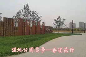 石家庄西三环中山西路上有一个湿地公园，一起看看春天的颜色。视频封面