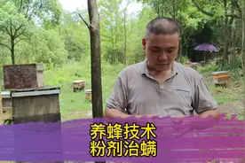 养蜂技术分享，介绍一种蜂群治大螨的方法，粉剂治螨省时省力视频封面