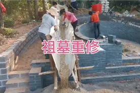 祖墓重修，有钱岀钱，有力岀力，丁财两旺，富贵双全！视频封面