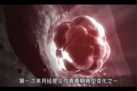 女孩子几岁开始来月经视频封面