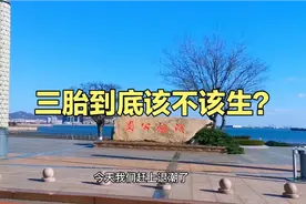 三胎到底该不该生？听听80后的真实处境，有多少人跟我经历一样？视频封面