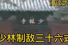 少林制敌三十六式：简单易学实战性强不会任何拳术的人都能学会视频封面