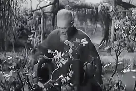 老人捡到一株牡丹回家竟种出了一群仙女视频封面