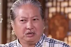 明星表演真功夫名场面，赵文卓十响通背拳，吴京九节鞭被玩成硬棍