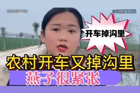 农村开三轮车又掉沟里去了！燕子很紧张！网友调侃：掉沟专业户视频封面