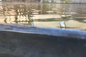 潺潺流水似年华…视频封面