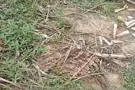 乐资高速没有签过协议补偿没下发强行施工@中铁北京局@四川省政府视频封面