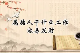 属猪人干什么工作容易发财视频封面