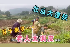 百十来岁老人太调皮，伙同孙媳妇霍霍家里的北瓜，有此视频为证视频封面