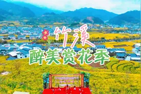 竹溪醉美赏花季，花海盛开等你来！🌸🌺视频封面