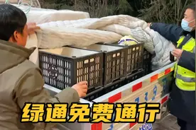 河南小伙拉50块钱白菜回陕西，刚下高速路费全免，老丈人心里美了视频封面