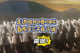 带你走进咸阳博物院，看西汉三千兵马俑震撼不！视频封面