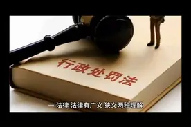 法律、法规、规章、规范性文件、组织内部文件的区别