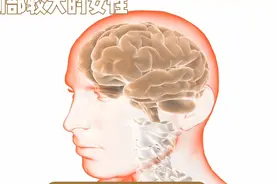 男性的审美标准与多元化的喜好视频封面