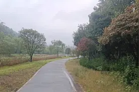 最新云南各市州首富(下)视频封面